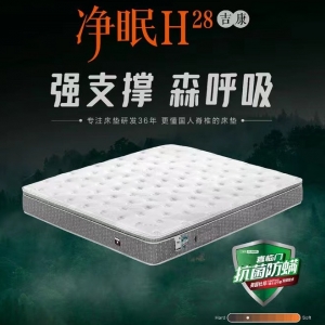 净眠H28